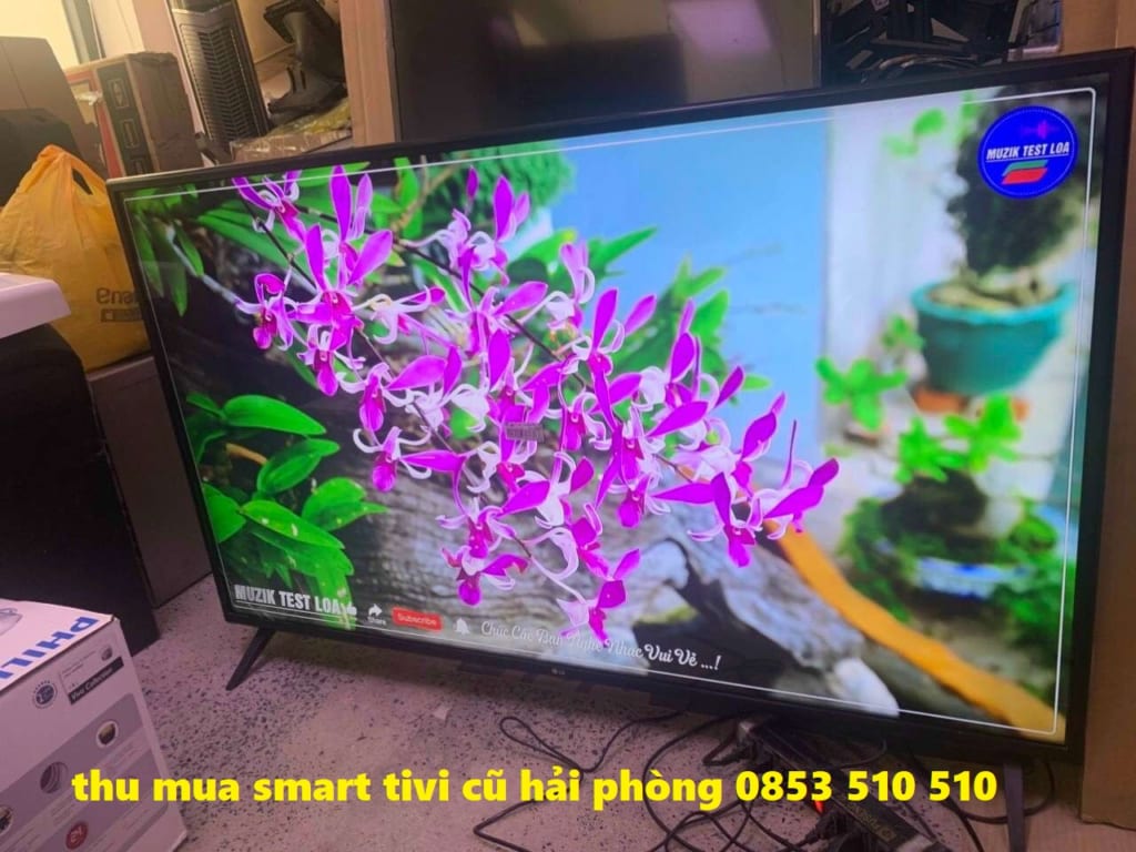 Thu mua tivi cũ hỏng thanh lý Hải Phòng - 0853.510.510